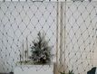 Выбрать фотографию для просмотра