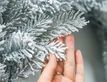 Выбрать фотографию для просмотра