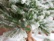 Выбрать фотографию для просмотра
