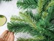 Выбрать фотографию для просмотра