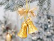 Выбрать фотографию для просмотра