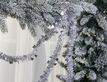Выбрать фотографию для просмотра