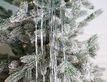 Выбрать фотографию для просмотра