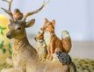 Выбрать фотографию для просмотра