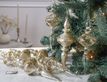 Выбрать фотографию для просмотра