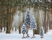 Выбрать фотографию для просмотра