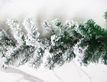 Выбрать фотографию для просмотра