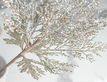 Выбрать фотографию для просмотра