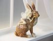 Выбрать фотографию для просмотра