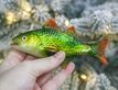 Выбрать фотографию для просмотра