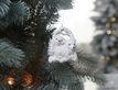 Выбрать фотографию для просмотра