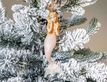 Выбрать фотографию для просмотра