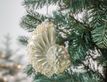 Выбрать фотографию для просмотра
