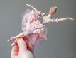 Выбрать фотографию для просмотра