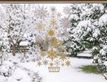 Выбрать фотографию для просмотра