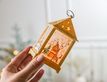 Выбрать фотографию для просмотра