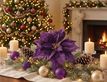 Выбрать фотографию для просмотра