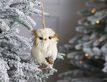 Выбрать фотографию для просмотра