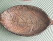 Выбрать фотографию для просмотра