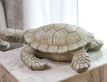 Выбрать фотографию для просмотра