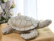 Выбрать фотографию для просмотра