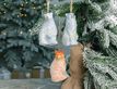 Выбрать фотографию для просмотра