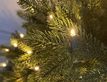 Выбрать фотографию для просмотра
