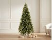 Выбрать фотографию для просмотра