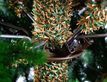 Выбрать фотографию для просмотра