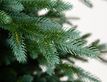 Выбрать фотографию для просмотра