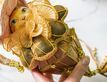 Выбрать фотографию для просмотра