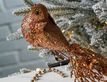 Выбрать фотографию для просмотра