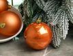 Выбрать фотографию для просмотра