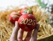 Выбрать фотографию для просмотра