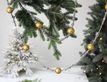 Выбрать фотографию для просмотра