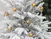 Выбрать фотографию для просмотра