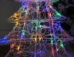 Выбрать фотографию для просмотра