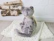 Выбрать фотографию для просмотра
