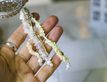 Выбрать фотографию для просмотра