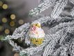 Выбрать фотографию для просмотра