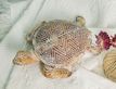 Выбрать фотографию для просмотра