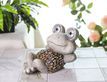 Выбрать фотографию для просмотра