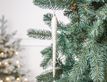Выбрать фотографию для просмотра