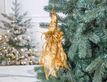 Выбрать фотографию для просмотра
