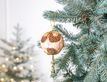 Выбрать фотографию для просмотра