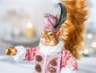 Выбрать фотографию для просмотра