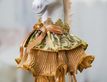Выбрать фотографию для просмотра