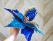 Выбрать фотографию для просмотра