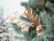 Выбрать фотографию для просмотра