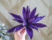 Выбрать фотографию для просмотра